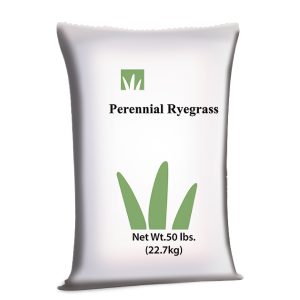 Raygrass perenne - Semillas de Pastos