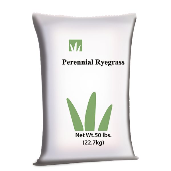 Raygrass perenne - Semillas de Pastos