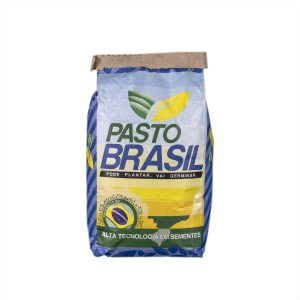 Brachiaria Marandú - Semillas de Pastos